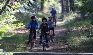 Vélo forêt Fontainebleau 
