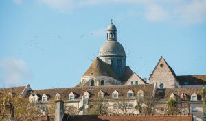 Vue des toits de la cité médiévale de Provins