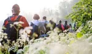 groupe de promeneurs en pleine nature