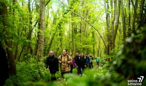 Randonneurs dans la forêt de Fontainebleau