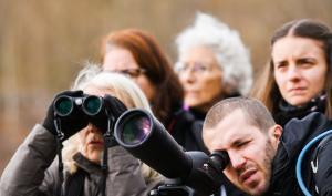 Visite guidée d'une zone humide en Seine-et-Marne