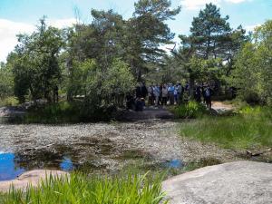 Forêt de Fontainebleau