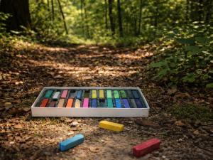 Une boîte de pastel dans la forêt