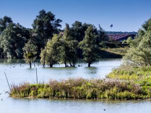 Espace naturel sensible Les Olivettes