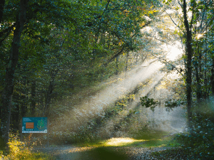 ENS Bois de la Rochette