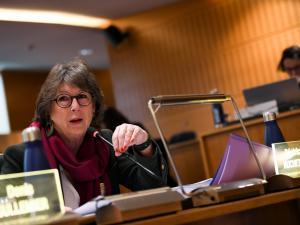 Séance publique du Conseil départemental de Seine-et-Marne