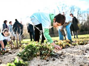 Un collégien plante des végétaux