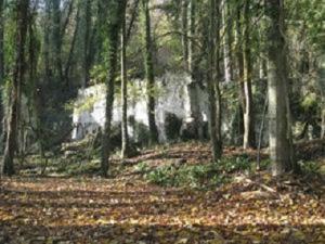 Espace naturel sensible le bois de la Bergette