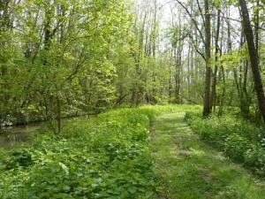 Espace naturel sensible Les îles de l'Orvanne