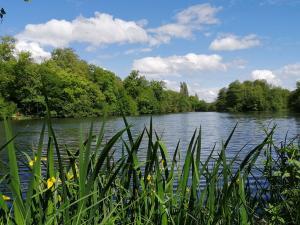 Espace naturel sensible les Basses Godernes au printemps