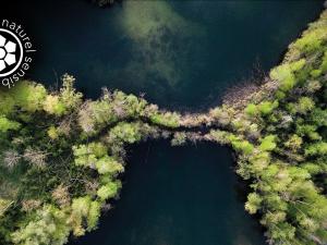 Espace naturel sensible en Seine-et-Marne vu du ciel