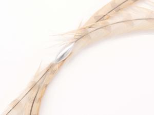 Exposition Constellationˢ