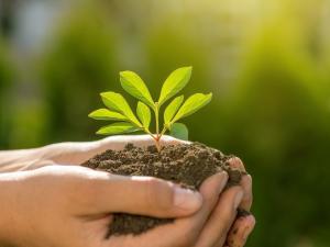 Des mains portent une plante et de la terre