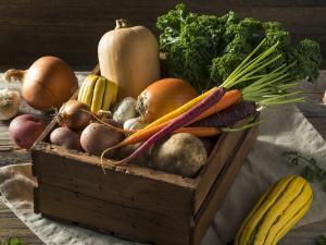 Panier de légumes d'hiver