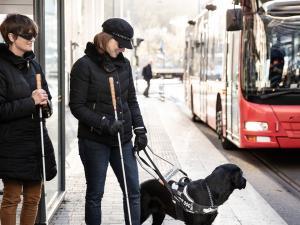 Deux femmes malvoyantes accompagnées d'un chien guide d'aveugle