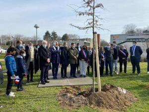 Un arbre planté au collège André Malraux de Montereau