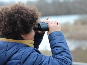 Un enfant observe la nature à travers des jumelles