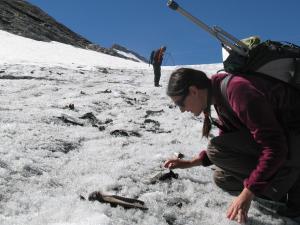 Une chercheuse réalise des fouilles archéologiques en montagne l'hiver
