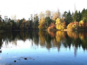 Paysage de la réserve naturelle de la Bassée en Seine-et-Marne