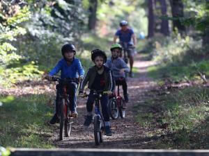 Vélo forêt Fontainebleau 