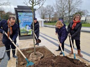 Des élus du Département de Seine-et-Marne replantent un arbre