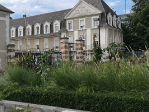Vignette_agenda_départemental_Conseil