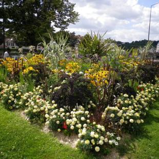 Fleurissement à Meaux