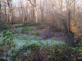 mare bois de la rochette