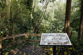 Panneau en bande dessinée au Bois de la Barre