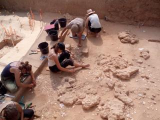 Fouilles archéologiques à Ormesson