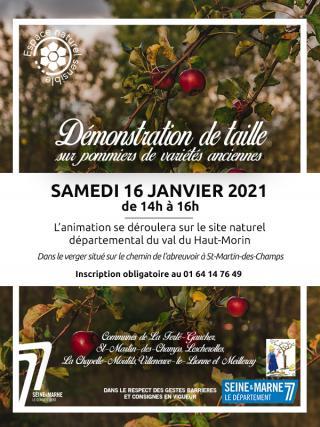 affiche évènement