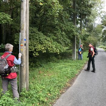 Baliseurs du Codérando77