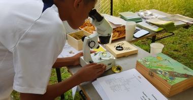 Un collégien regarde à travers un microscope