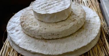 Trois fromages de la Seine-et-Marne