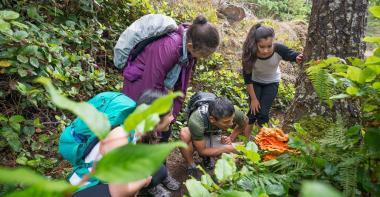 Un groupe de collégiens découvre la nature avec un professeur dans une forêt