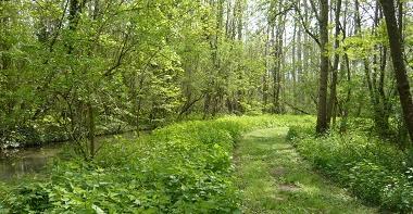 Espace naturel sensible Les îles de l'Orvanne