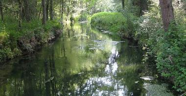 Espace naturel sensible Les Bordes Chalonges