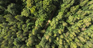 Bois de Doue en Seine-et-Marne