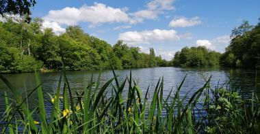 Espace naturel sensible les Basses Godernes au printemps