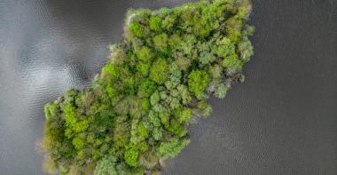 Une île boisée en Seine-et-Marne vue du ciel
