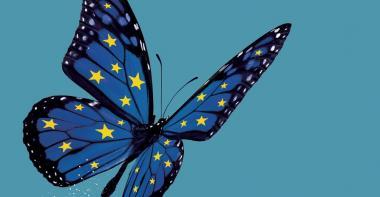 Papillon aux couleurs de l'Union européenne