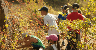 Des enfants observent la nature