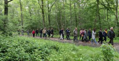 Un groupe de randonneurs sur un chemin de la forêt de Dammarie-Les-Lys