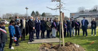 Un arbre planté au collège André Malraux de Montereau