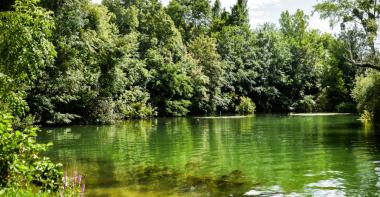 Un étang en Seine-et-Marne