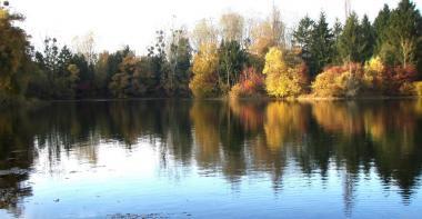 Paysage de la réserve naturelle de la Bassée en Seine-et-Marne