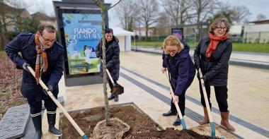 Des élus du Département de Seine-et-Marne replantent un arbre