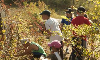 Des enfants observent la nature