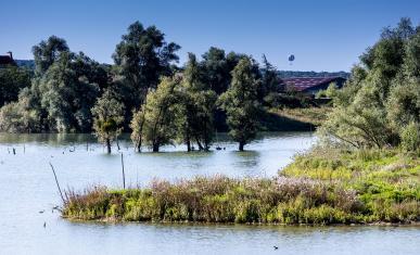 Espace naturel sensible Les Olivettes