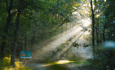 ENS Bois de la Rochette